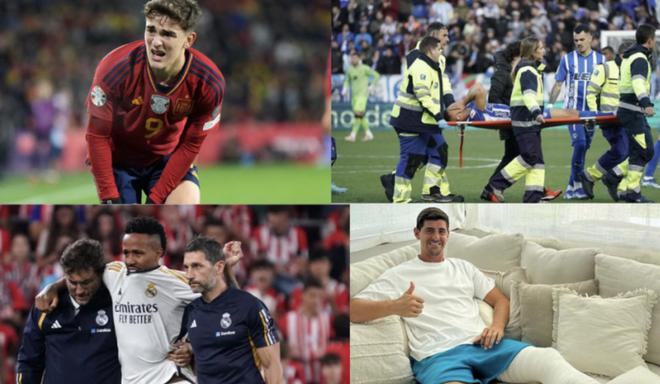 维蒂尼亚需 维蒂尼亚需